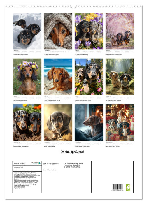 Dackelspaß pur! (CALVENDO Wandkalender 2027)