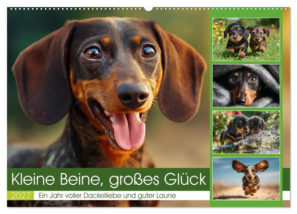 Kleine Beine, großes Glück (CALVENDO Wandkalender 2027)