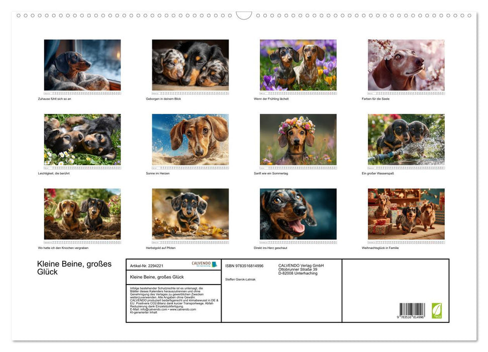 Kleine Beine, großes Glück (CALVENDO Wandkalender 2027)