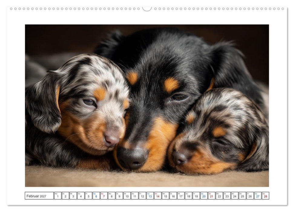 Kleine Beine, großes Glück (CALVENDO Wandkalender 2027)