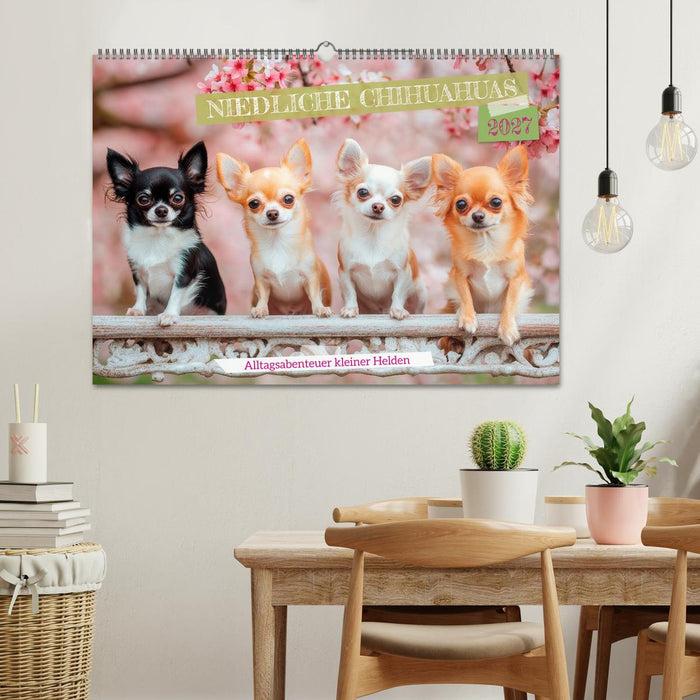 Niedliche Chihuahuas (CALVENDO Wandkalender 2027)