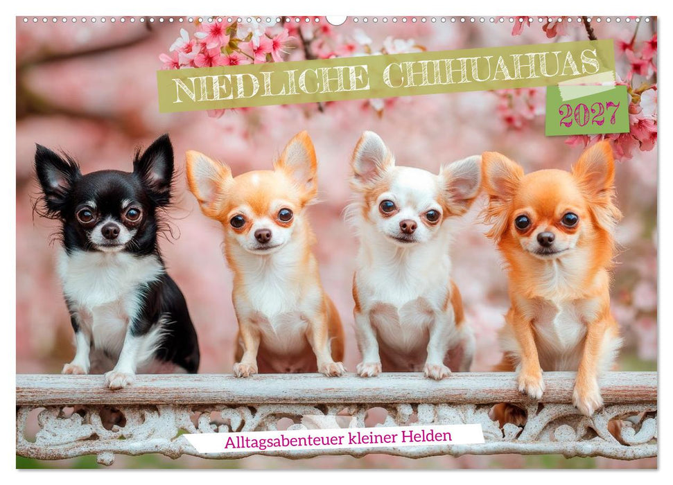 Niedliche Chihuahuas (CALVENDO Wandkalender 2027)