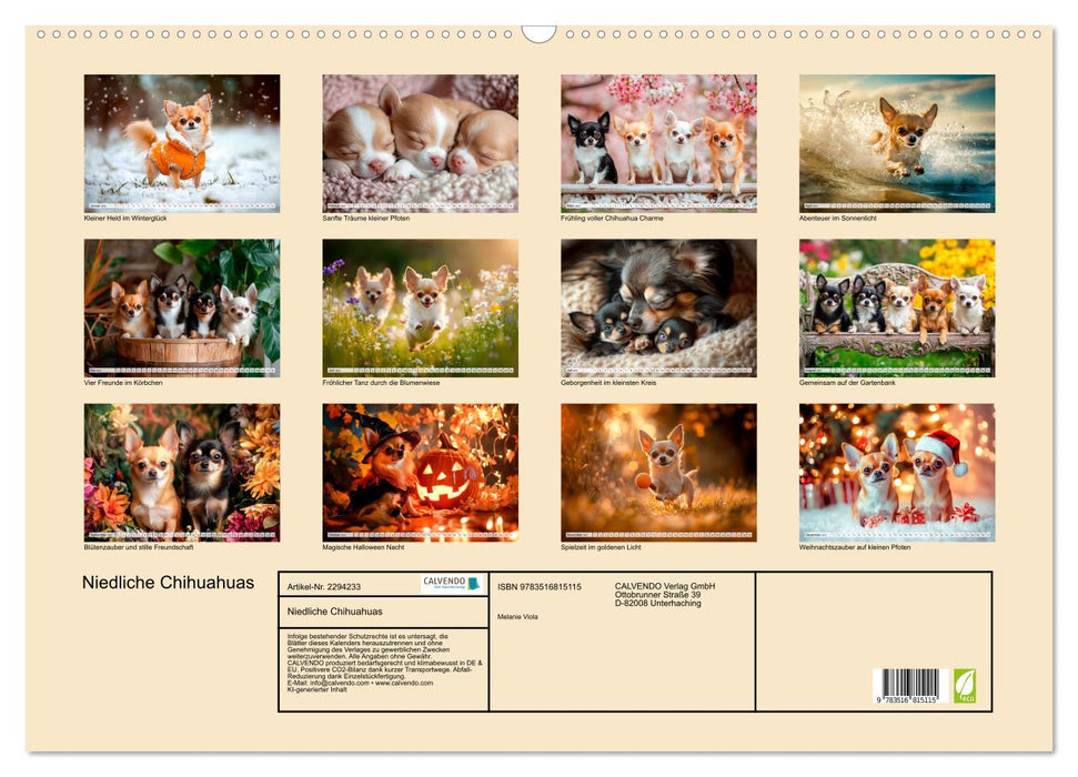 Niedliche Chihuahuas (CALVENDO Wandkalender 2027)