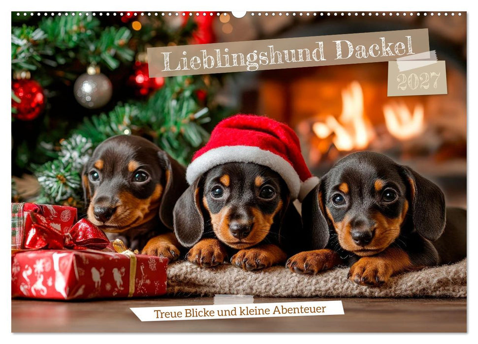 Lieblingshund Dackel (CALVENDO Wandkalender 2027)
