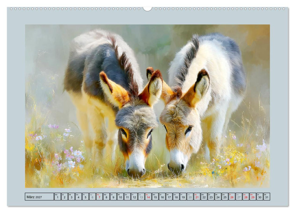 Zwergesel. Kleine Langohren mit großem Charme (CALVENDO Wandkalender 2027)