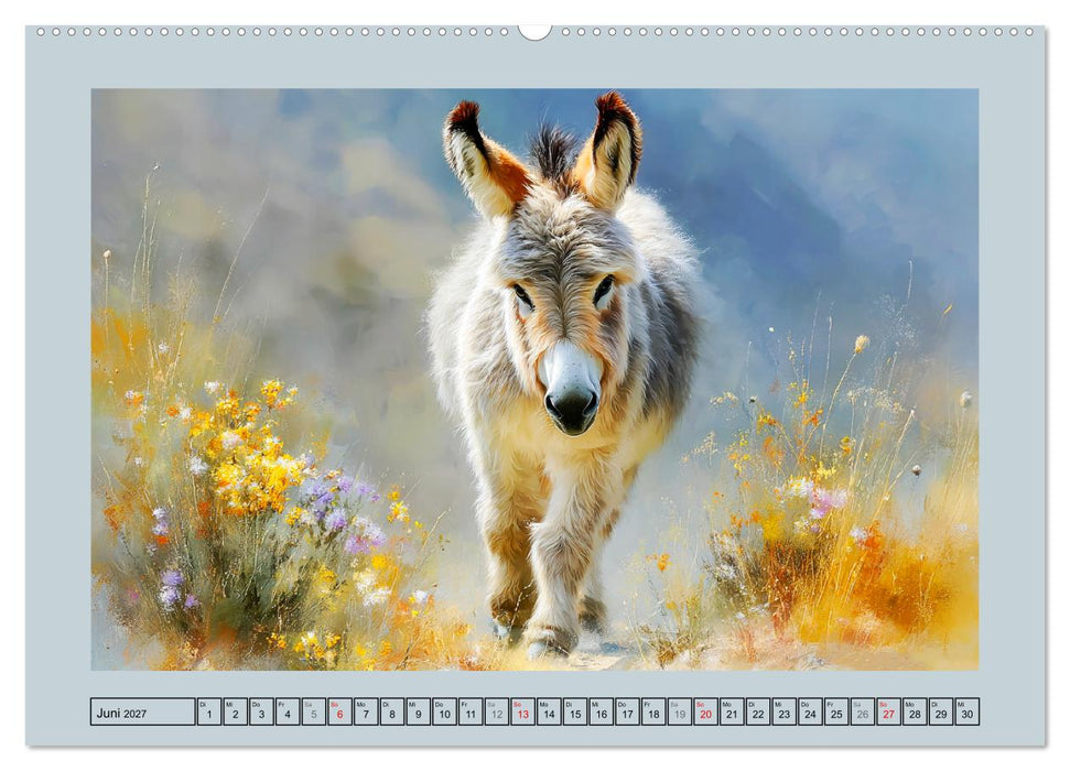 Zwergesel. Kleine Langohren mit großem Charme (CALVENDO Wandkalender 2027)