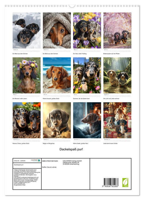 Dackelspaß pur! (CALVENDO Premium Wandkalender 2027)