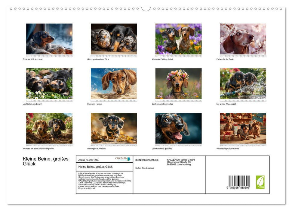 Kleine Beine, großes Glück (CALVENDO Premium Wandkalender 2027)