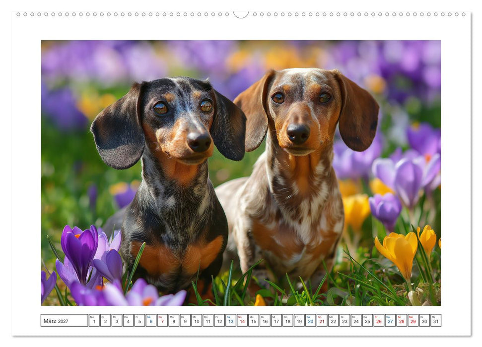Kleine Beine, großes Glück (CALVENDO Premium Wandkalender 2027)