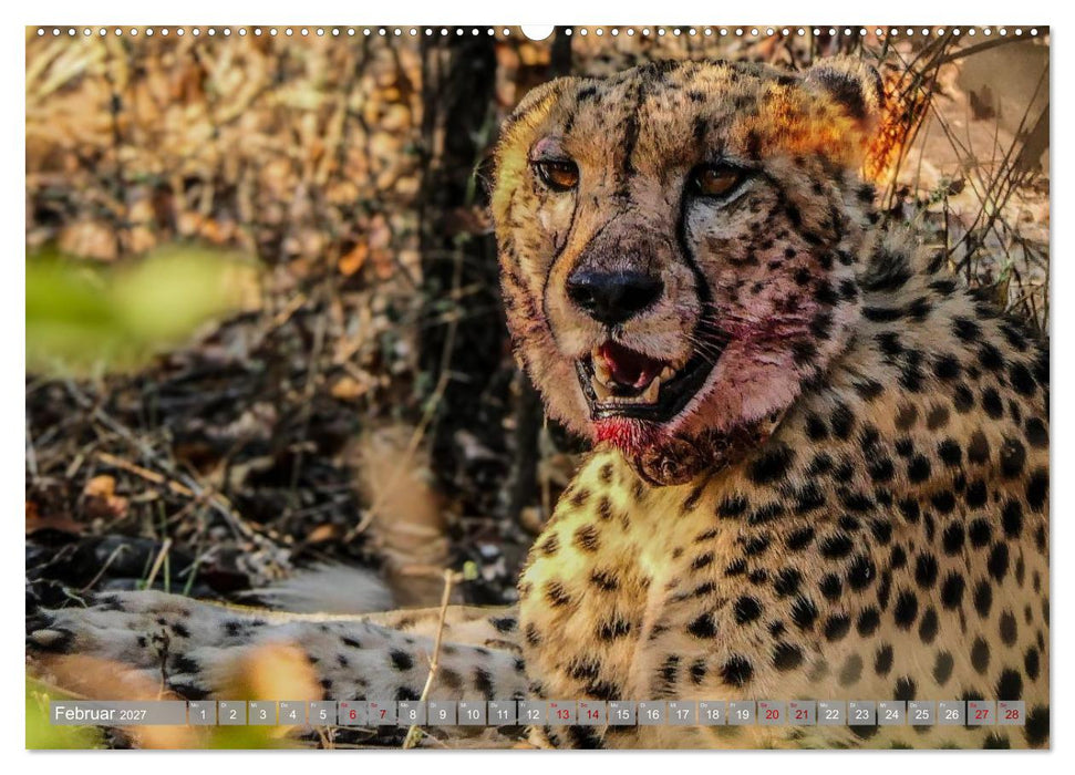 Unbekanntes Paradies Sambia (CALVENDO Wandkalender 2027)
