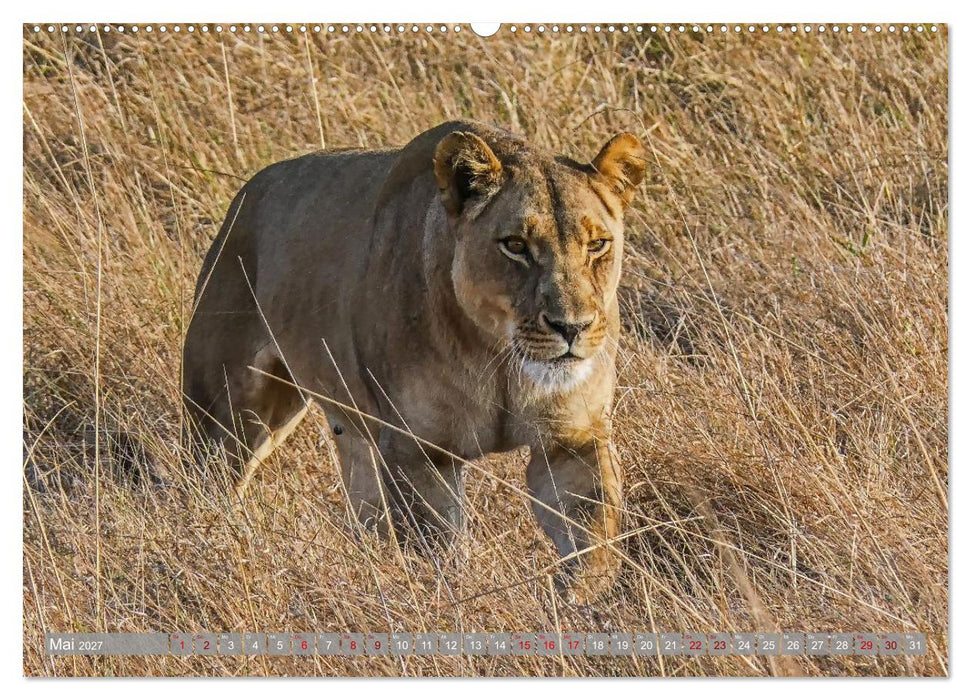 Unbekanntes Paradies Sambia (CALVENDO Wandkalender 2027)
