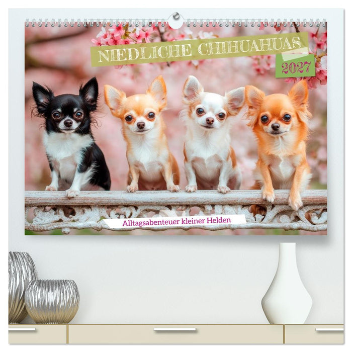 Niedliche Chihuahuas (CALVENDO Premium Wandkalender 2027)