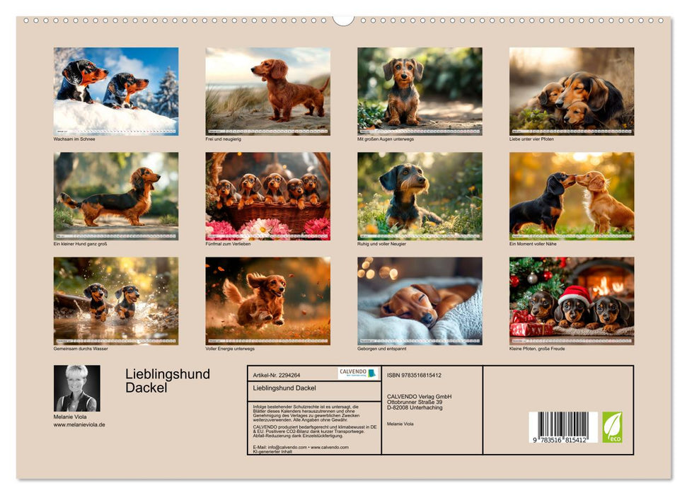 Lieblingshund Dackel (CALVENDO Premium Wandkalender 2027)