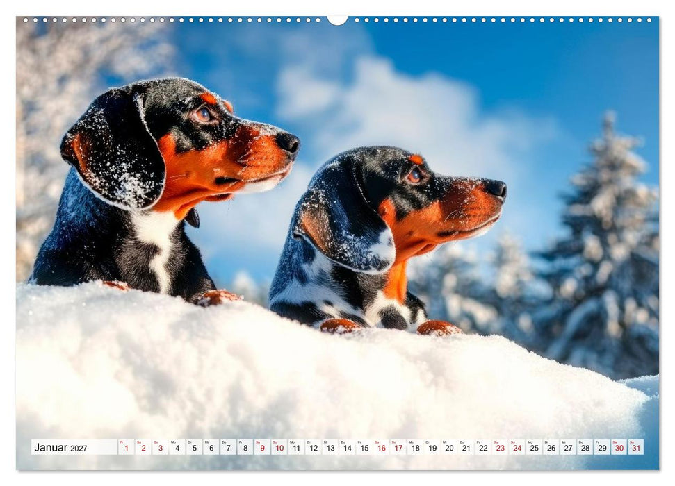 Lieblingshund Dackel (CALVENDO Premium Wandkalender 2027)