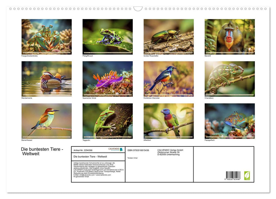 Die buntesten Tiere - Weltweit (CALVENDO Wandkalender 2027)