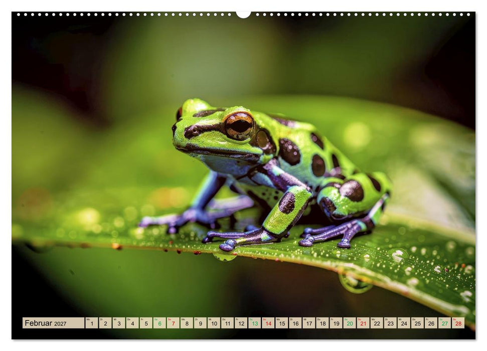 Die buntesten Tiere - Weltweit (CALVENDO Wandkalender 2027)