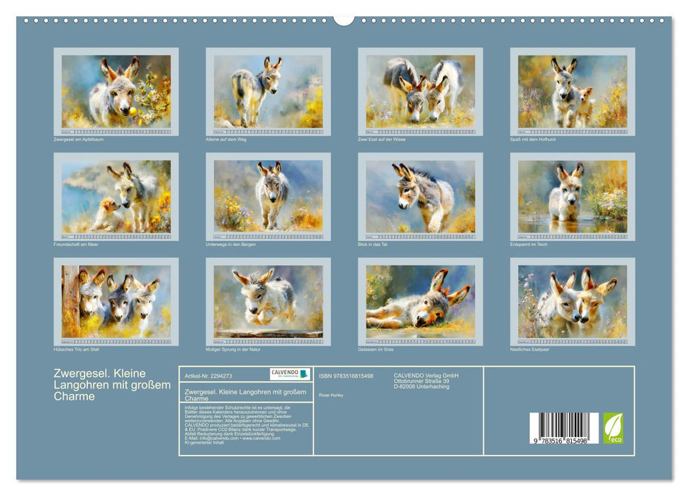 Zwergesel. Kleine Langohren mit großem Charme (CALVENDO Premium Wandkalender 2027)