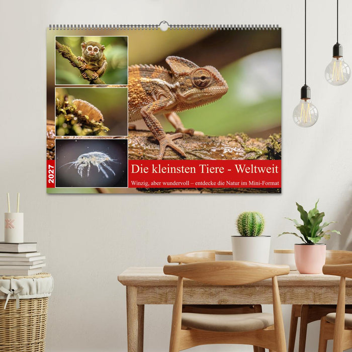 Die kleinsten Tiere - Weltweit (CALVENDO Wandkalender 2027)