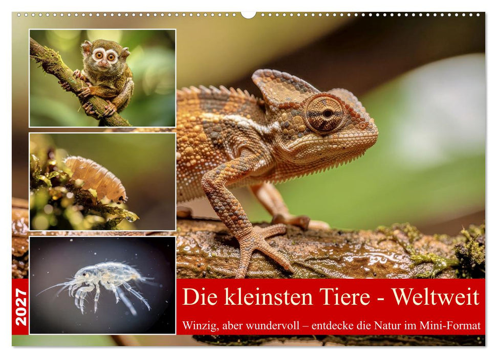 Die kleinsten Tiere - Weltweit (CALVENDO Wandkalender 2027)