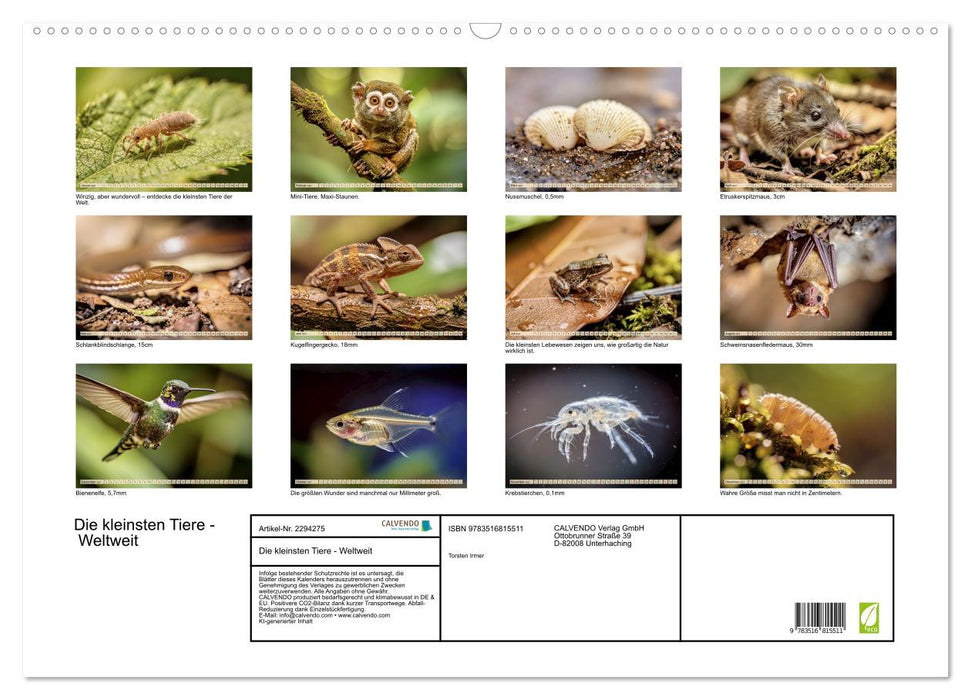 Die kleinsten Tiere - Weltweit (CALVENDO Wandkalender 2027)