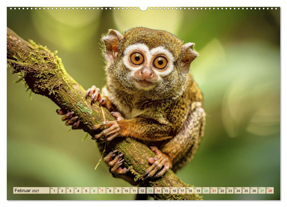 Die kleinsten Tiere - Weltweit (CALVENDO Wandkalender 2027)