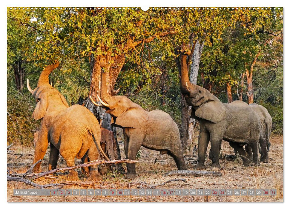 Unbekanntes Paradies Sambia (CALVENDO Premium Wandkalender 2027)
