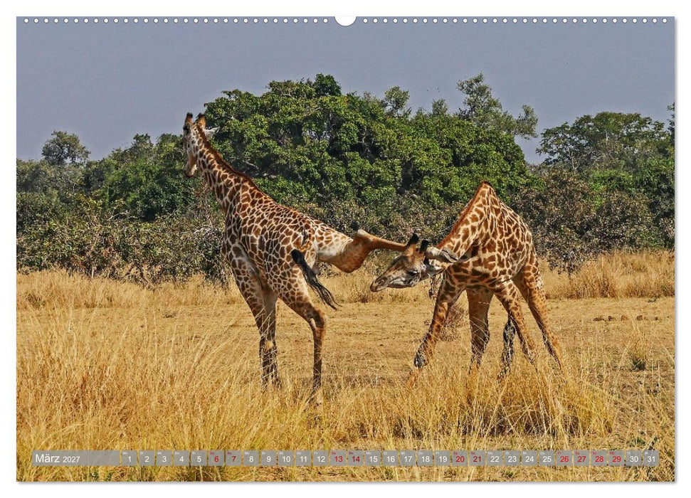 Unbekanntes Paradies Sambia (CALVENDO Premium Wandkalender 2027)