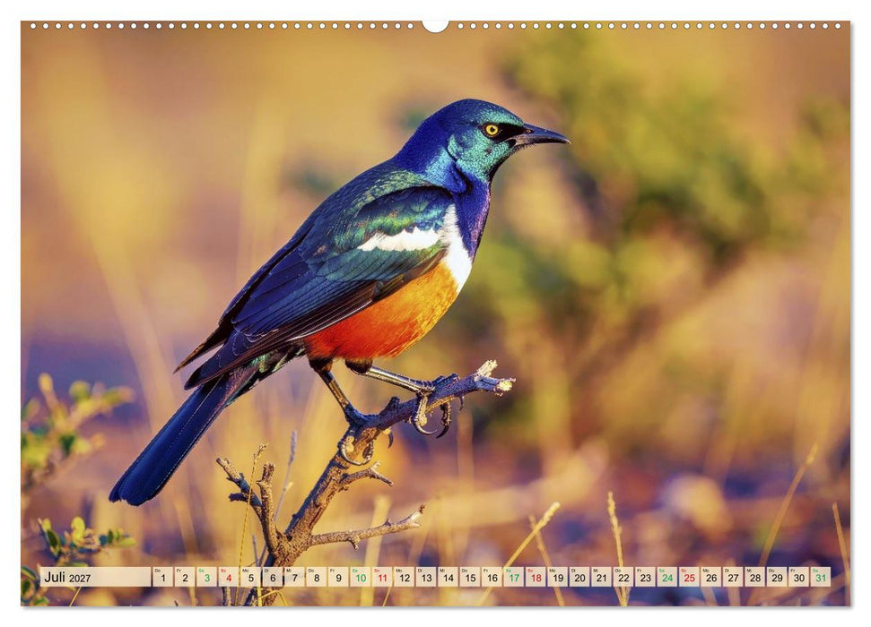 Die buntesten Tiere - Weltweit (CALVENDO Premium Wandkalender 2027)