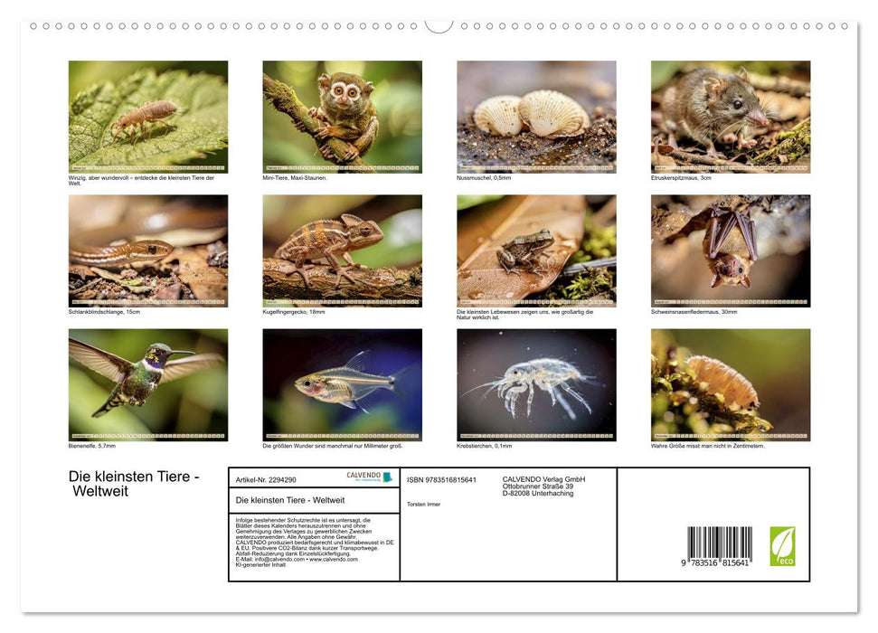 Die kleinsten Tiere - Weltweit (CALVENDO Premium Wandkalender 2027)