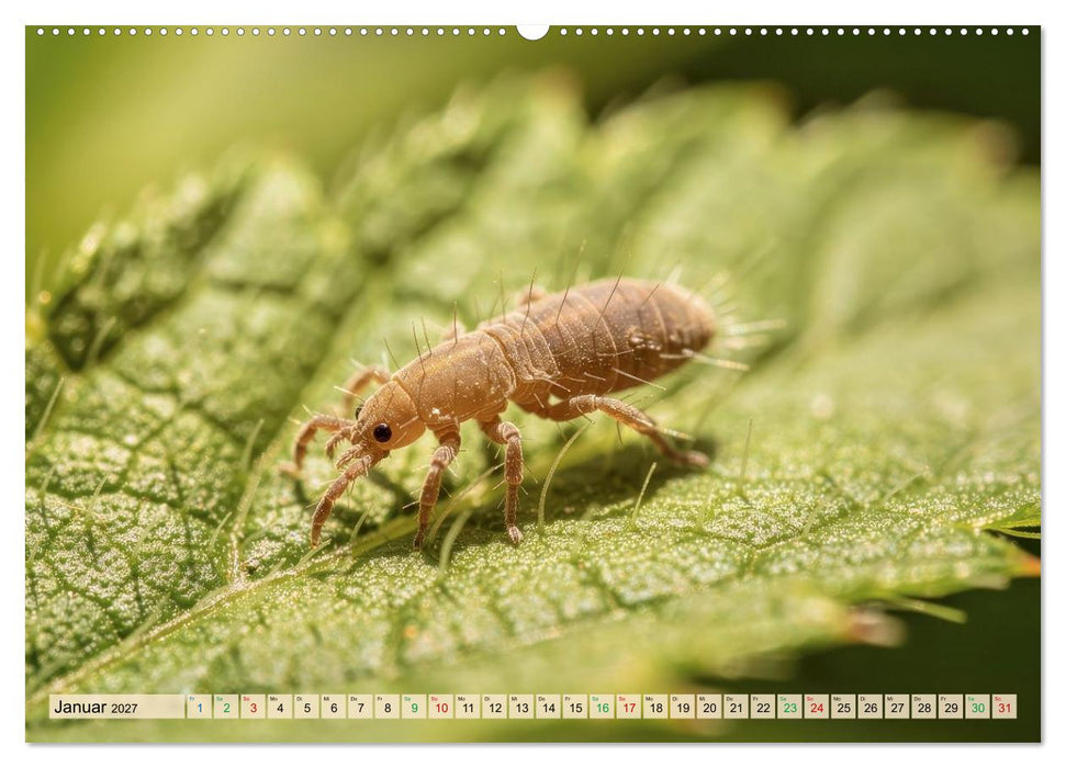 Die kleinsten Tiere - Weltweit (CALVENDO Premium Wandkalender 2027)
