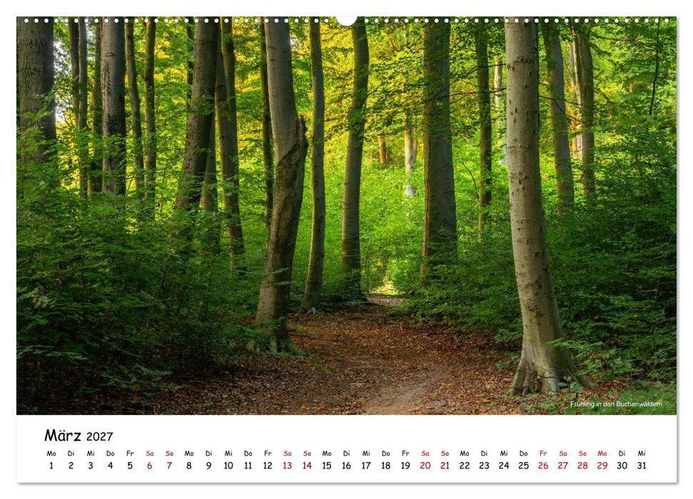 Heimat Entdecken - Odenthal im Bergischen Land (CALVENDO Wandkalender 2027)