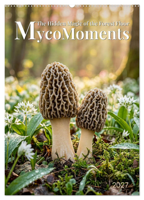 MycoMoments (CALVENDO Monthly Calendar 2027)