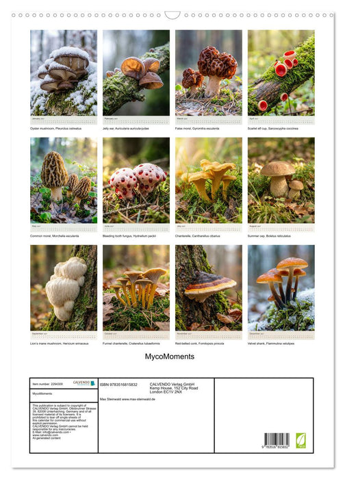 MycoMoments (CALVENDO Monthly Calendar 2027)