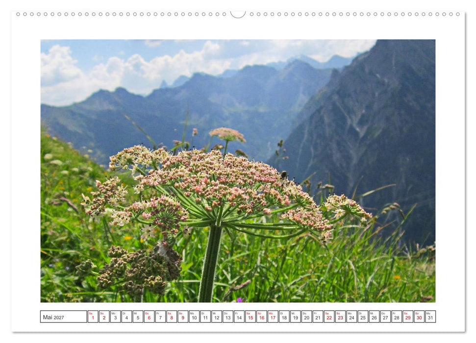 Oberstdorf zu allen Jahreszeiten (CALVENDO Premium Wandkalender 2027)