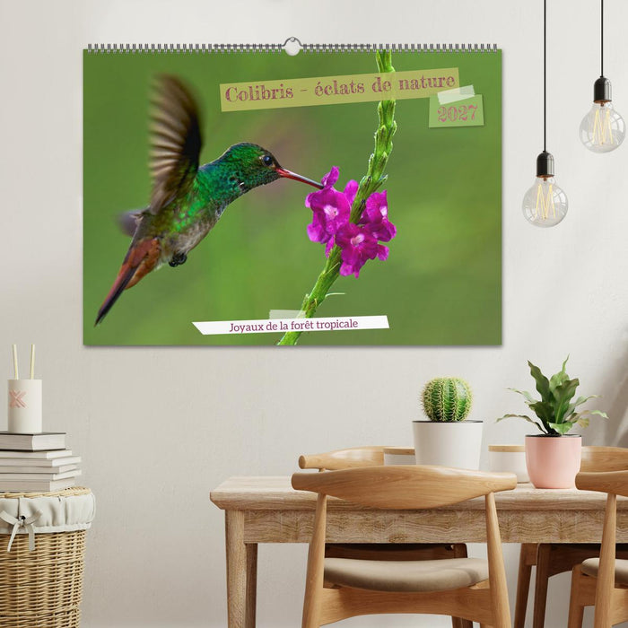 Colibris – éclats de nature (CALVENDO Calendrier mensuel 2027)