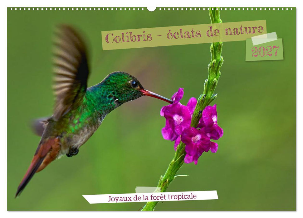 Colibris – éclats de nature (CALVENDO Calendrier mensuel 2027)