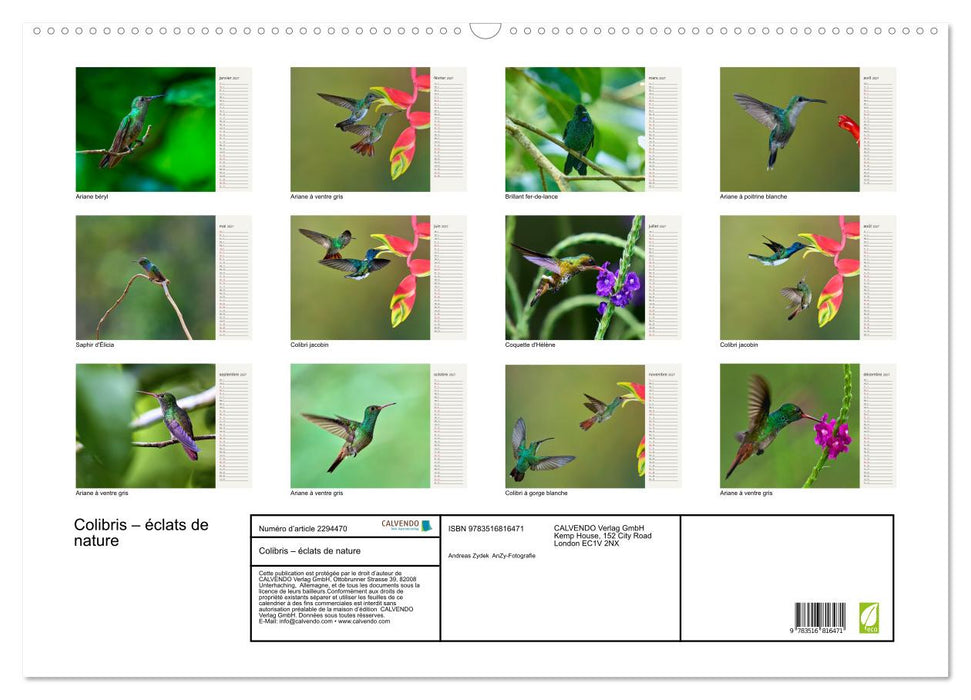 Colibris – éclats de nature (CALVENDO Calendrier mensuel 2027)