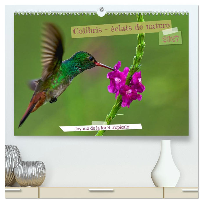 Colibris – éclats de nature (CALVENDO Calendrier supérieur 2027)