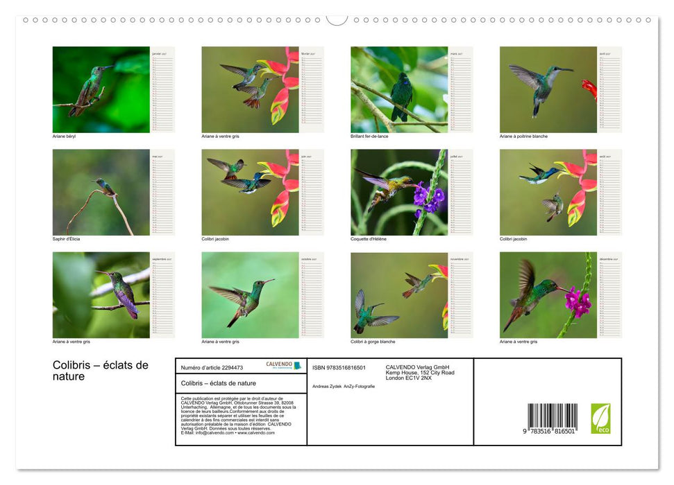 Colibris – éclats de nature (CALVENDO Calendrier supérieur 2027)