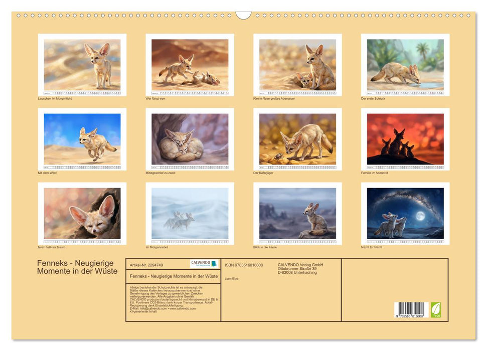 Fenneks - Neugierige Momente in der Wüste (CALVENDO Wandkalender 2027)