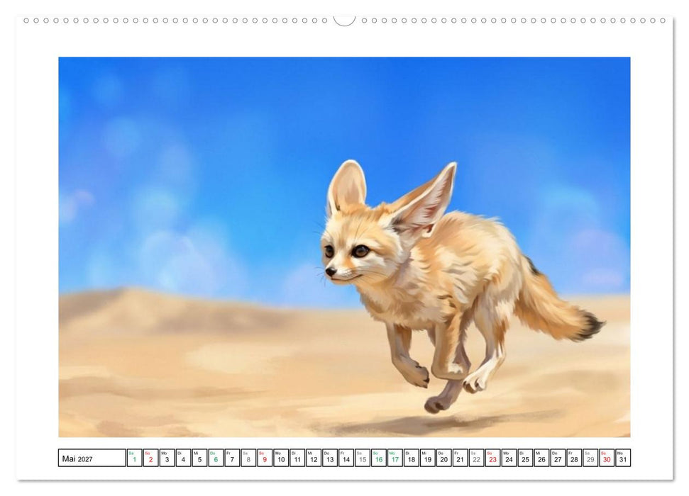 Fenneks - Neugierige Momente in der Wüste (CALVENDO Wandkalender 2027)