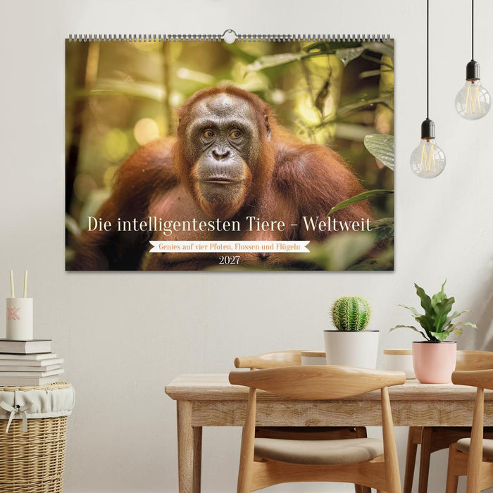 Die intelligentesten Tiere - Weltweit (CALVENDO Wandkalender 2027)