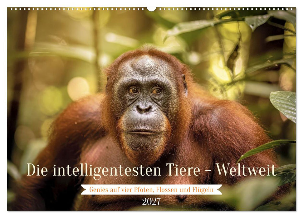 Die intelligentesten Tiere - Weltweit (CALVENDO Wandkalender 2027)