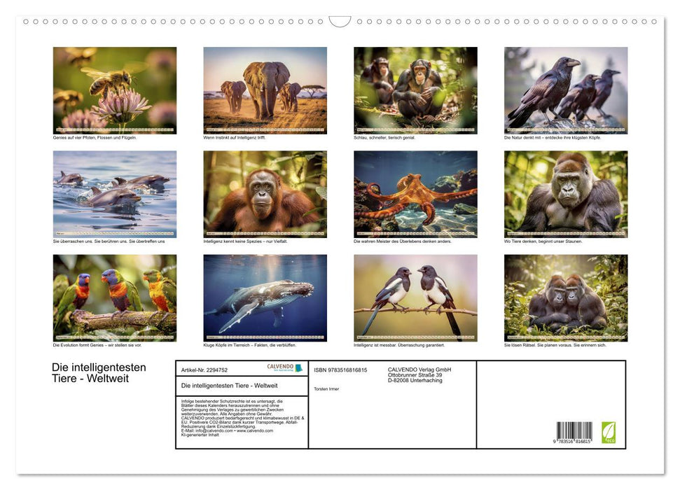 Die intelligentesten Tiere - Weltweit (CALVENDO Wandkalender 2027)