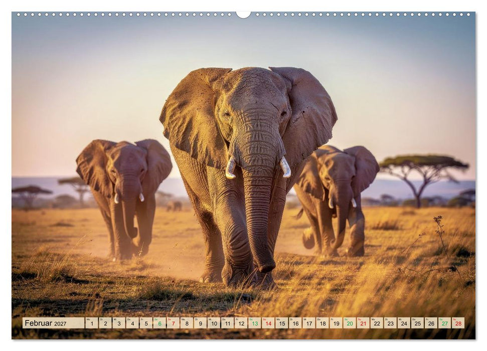 Die intelligentesten Tiere - Weltweit (CALVENDO Wandkalender 2027)