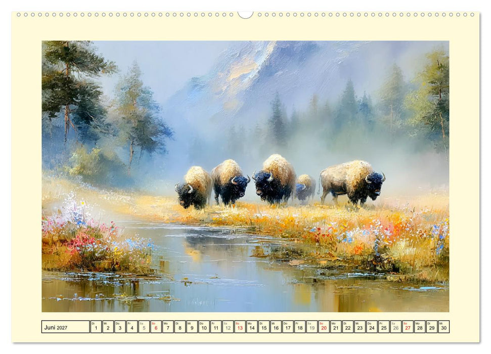 Bisons. Nordamerikas gewaltige Wildrinder (CALVENDO Wandkalender 2027)