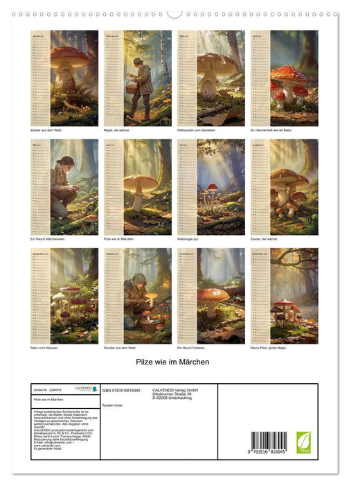 Pilze wie im Märchen (CALVENDO Premium Wandkalender 2027)