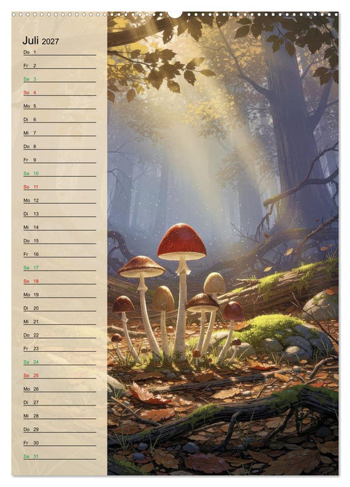 Pilze wie im Märchen (CALVENDO Premium Wandkalender 2027)