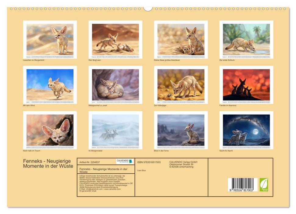Fenneks - Neugierige Momente in der Wüste (CALVENDO Premium Wandkalender 2027)