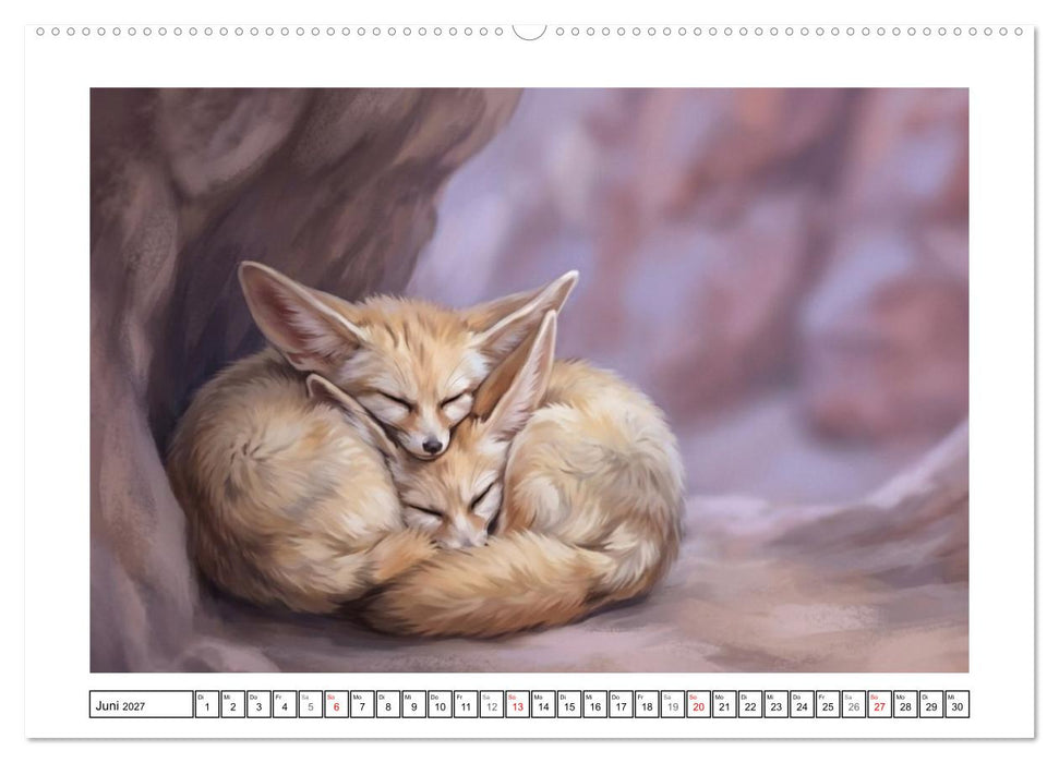 Fenneks - Neugierige Momente in der Wüste (CALVENDO Premium Wandkalender 2027)